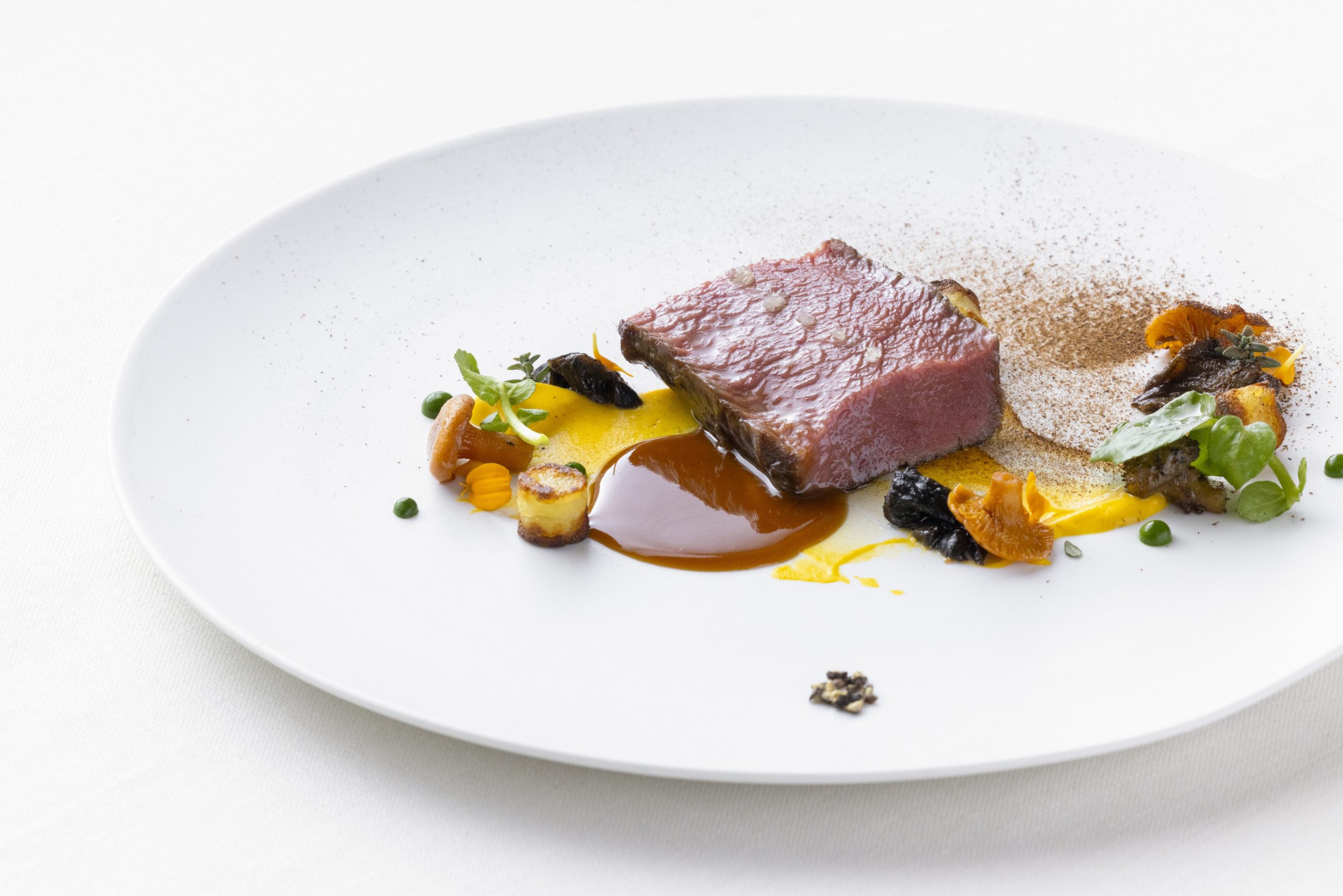 鹿肉肉 Jeu de Chevreuil. 課程中的肉類菜餚示例